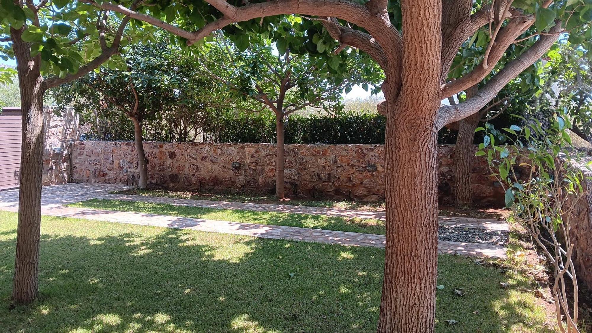 Sounion Green Retreat Kültér fotó